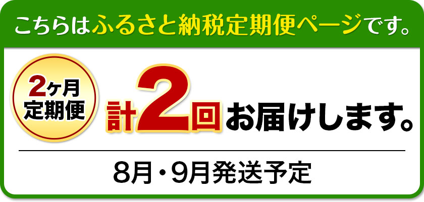 【2025年先行予約】【2ヶ月定期便】 シャインマスカット晴王 はれおう 2房入り(1房600g以上) 化粧箱入 株式会社山博(中本青果)《2025年8月・9月計2回出荷予定》 定期 計2回お届け 岡山県 浅口市 ぶどう マスカット 大粒 フルーツ 秀品 果物 ギフト 送料無料 【配送不可地域あり】（北海道・沖縄・離島）