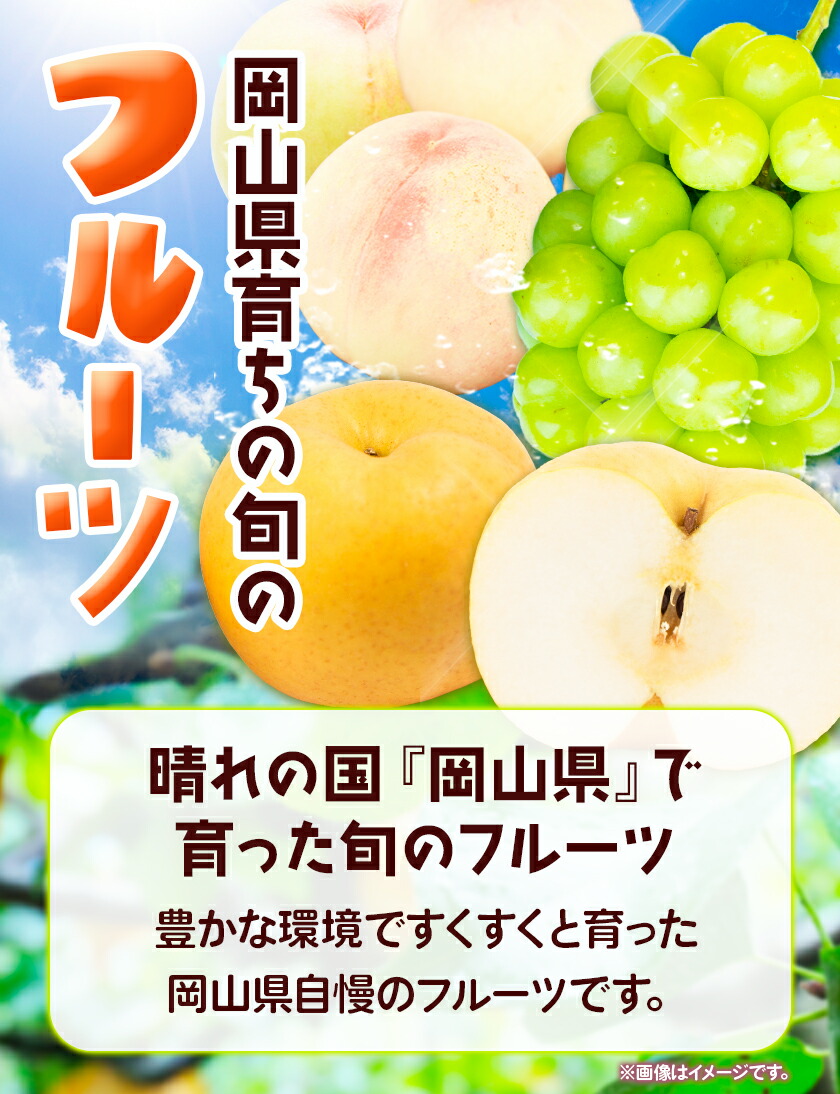 【2025年先行予約】定期便3回コース(隔月) 岡山のフルーツ 岡山の白桃8玉 (計1.7kg以上) シャインマスカット 晴王 2房 (1房600g以上) あたご梨 4~5玉 (約4kg) 化粧箱入り 株式会社山博(中本青果) 《2025年7月上旬-11月下旬頃出荷》 岡山県 浅口市 送料無料  【配送不可地域あり】（北海道・沖縄・離島）