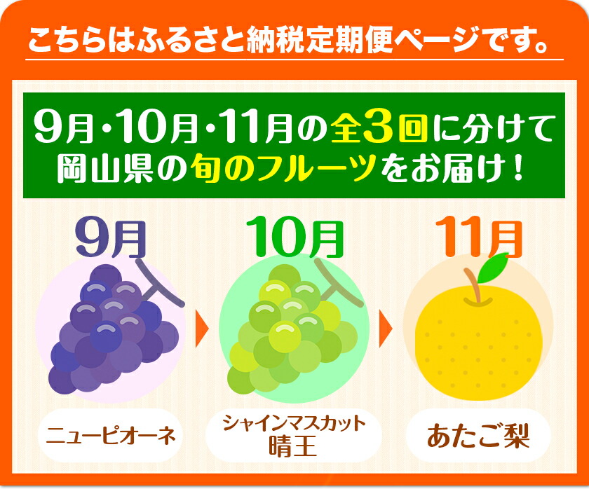 【2025年先行予約】定期便3回コース 岡山のフルーツ ニューピオーネ 2房 シャインマスカット 晴王 2房 あたご梨 2玉 (1玉約750g) 化粧箱入り 株式会社山博(中本青果) 《2025年9月上旬-11月下旬頃出荷》 岡山県 浅口市 果物 送料無料 【配送不可地域あり】（北海道・沖縄・離島）