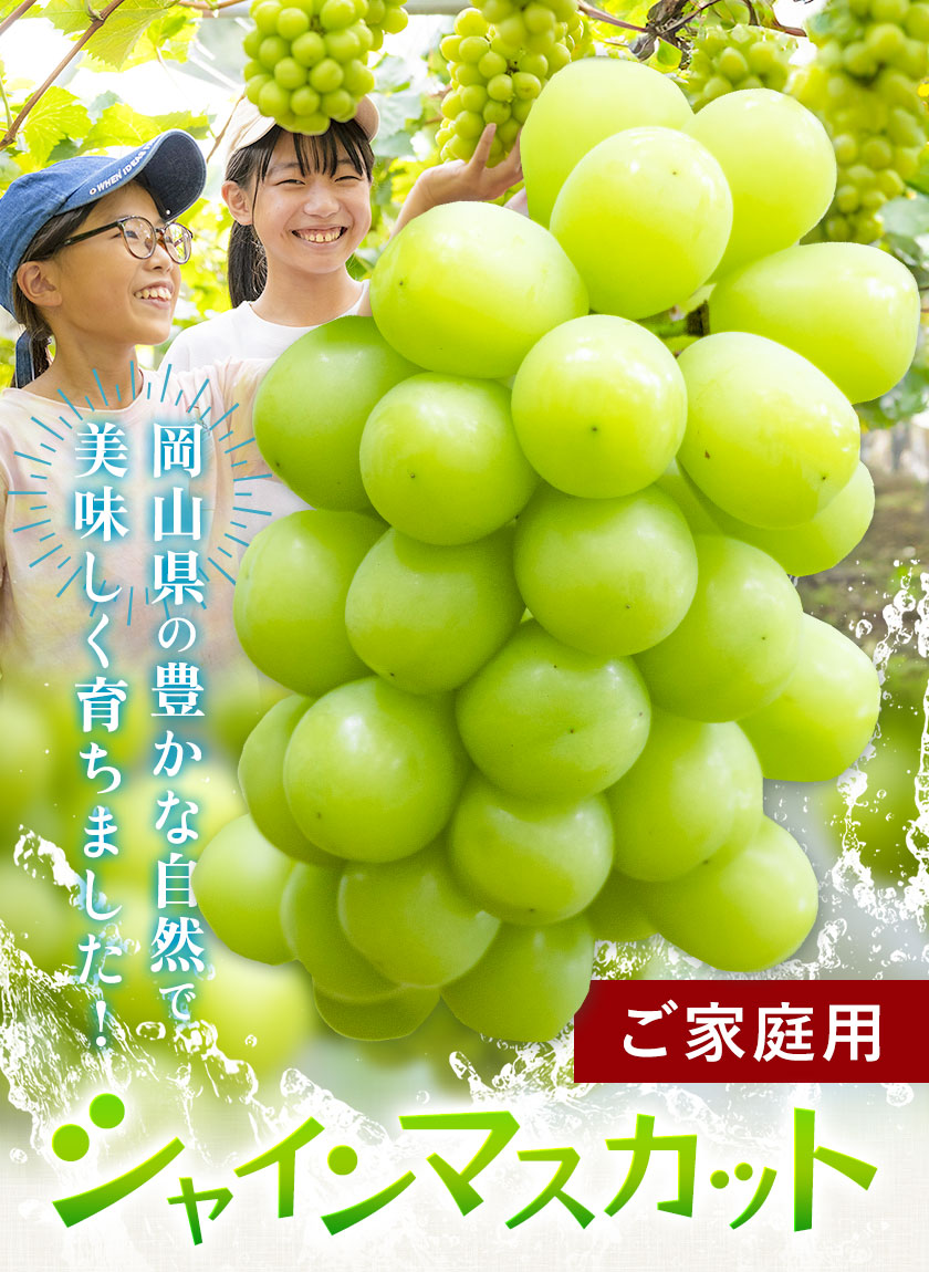 ぶどう シャインマスカット ご家庭用 訳あり マスカット 約2kg (3〜5房入り) もりおか農園《10月上旬-11月中旬頃出荷》岡山県 浅口市 送料無料 ぶどう フルーツ 果物 くだもの わけあり【配送不可地域あり】