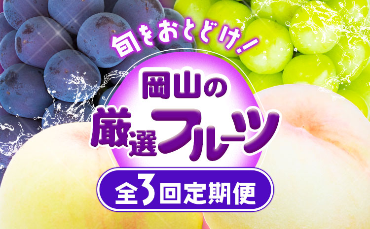 【2025年先行予約】岡山の厳選フルーツ 定期便3回コース 岡山の白桃 6玉(1.6kg以上) ニューピオーネ 2房(1房600g以上) シャインマスカット 晴王 2房(1房600g以上) 化粧箱入り 株式会社山博(中本青果) 《2025年7月上旬-10月下旬頃出荷》岡山県 浅口市 送料無料 【配送不可地域あり】（北海道・沖縄・離島）