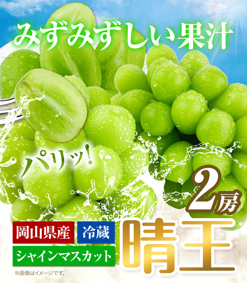 ぶどう [2025年先行予約] シャインマスカット 晴王 2房 1.15kg 岡山県産《9月上旬-11月中旬頃出荷(土日祝除く)》 ハレノフルーツ マスカット 送料無料 岡山県 浅口市 フルーツ 果物 贈り物 ギフト 国産 岡山県産 くだもの 青果物 【配送不可地域あり】