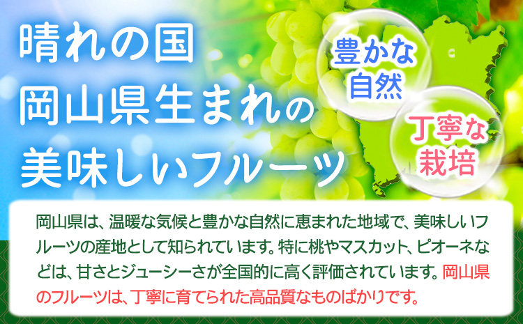 シャインマスカット 約2kg (3-4房)【配送不可地域あり】（北海道・沖縄・離島） 花田青果株式会社《9月上旬-10月末頃出荷》マスカット 送料無料 岡山県 浅口市 シャインマスカット ぶどう フルーツ 果物 贈り物 ギフトst-p