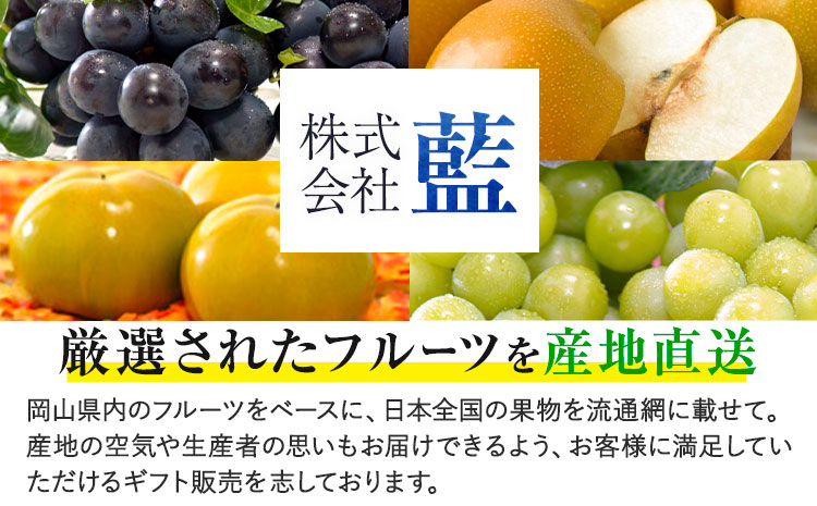 岡山県産 厳選 フルーツ 定期便 2回 シャインマスカット 新高梨 計4.2kg前後 株式会社藍《9月上旬-10月下旬頃出荷》 岡山県 浅口市 岡山県産 シャインマスカット 新高梨 梨 旬 フルーツ 果物 くだもの 送料無料 【配送不可地域あり】（北海道・沖縄・離島）