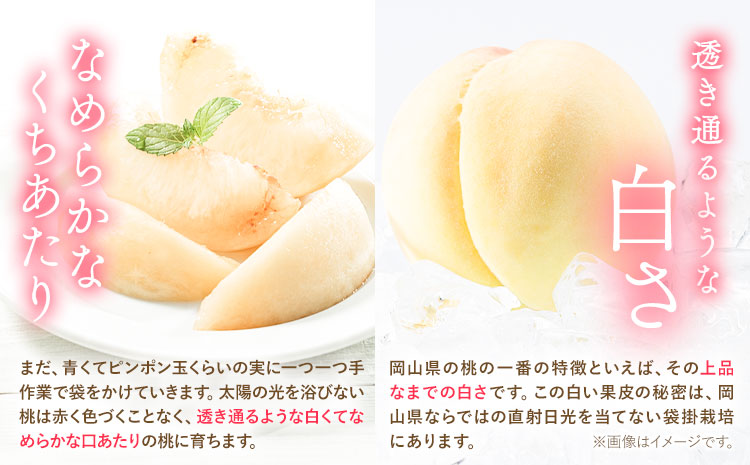 岡山 桃 もも 1.3kg 4~8玉前後 岡山 浅口