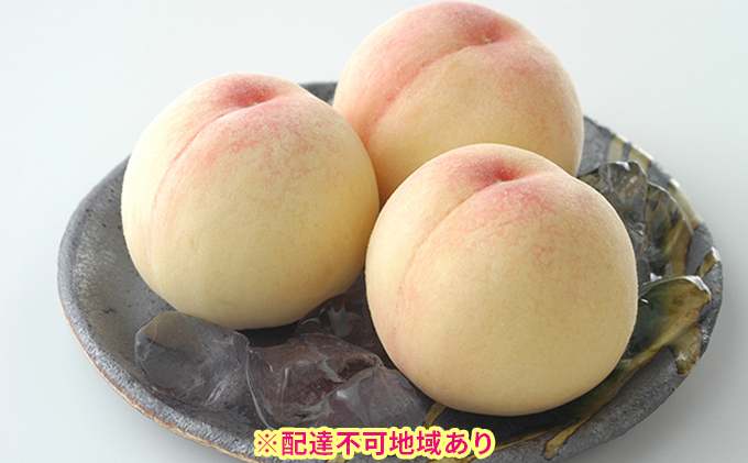 岡山県産 白桃 5玉（合計約1.3kg）【配達不可：離島】