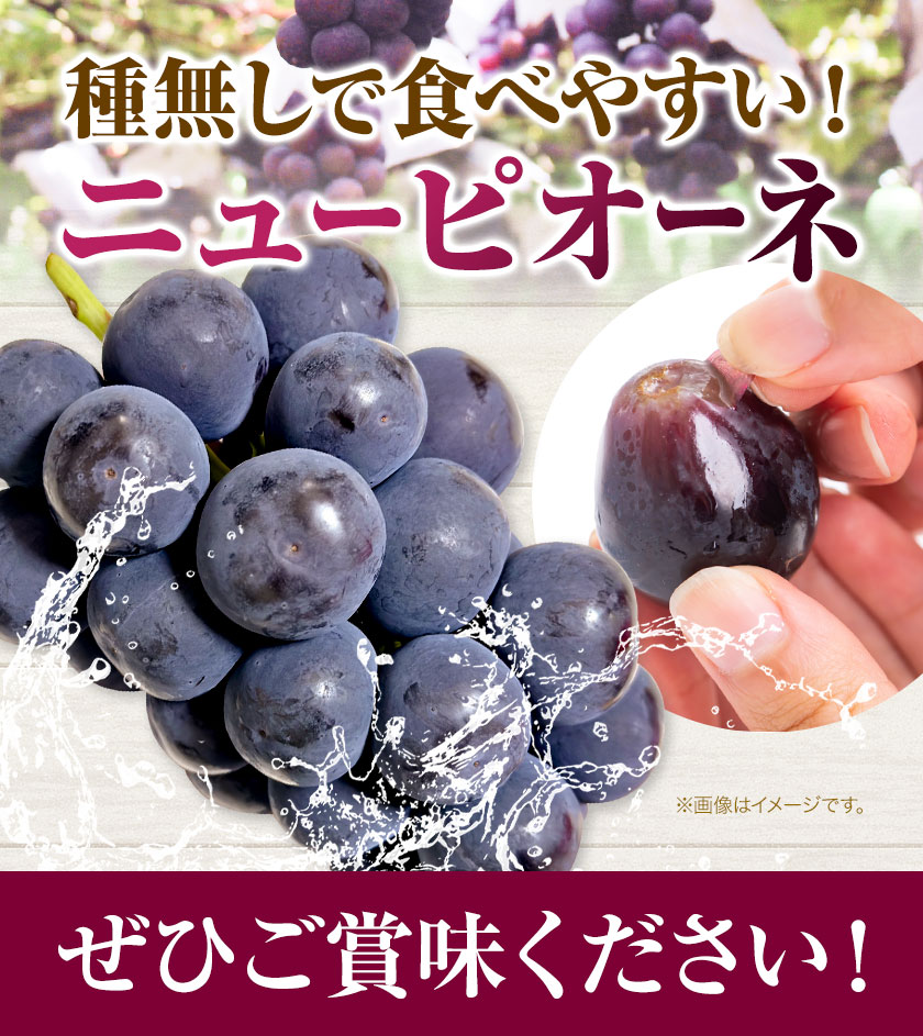 【2025年先行予約】ニューピオーネ 2房 1kg ウィズフラワーホールディングス《2025年9月上旬-10月中旬頃出荷》岡山県 浅口市 ぶどう ピオーネ フルーツ 旬 果物 国産 岡山県産 送料無料 冷蔵【配送不可地域あり】