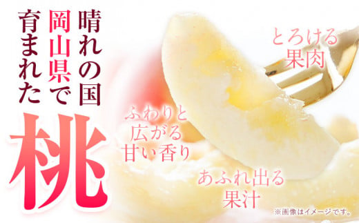 ãç¹å¥äŒç»ãæ¡ ããããŸçœæ¡ ãã æ¡ çŽ750g 岡山çç£ ãå®¶åºçšã1ïŒ5å¶æ¥æ¥ä»¥å
ã«åºè·ãå²¡å±±ç æµ
å£åž å³éžåºè· çœæ¡ çœé³³ æž
æ°Žçœæ¡ ããããŸå€¢çœæ¡ å·äžå³¶çœæ¡ çœç æç© ãã«ãŒãa-8