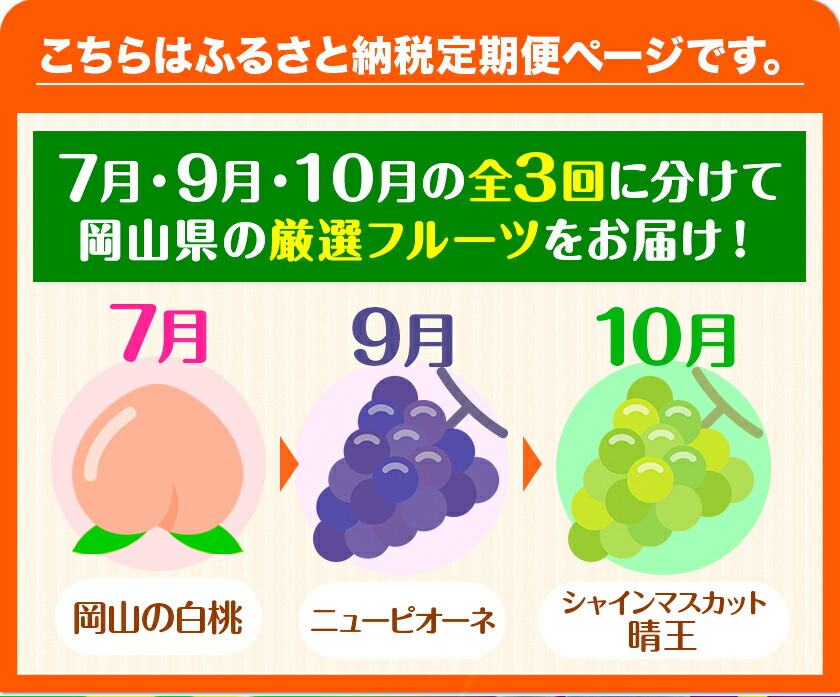 【2025年先行予約】岡山の厳選フルーツ 定期便3回コース 岡山の白桃 6玉(1.6kg以上) ニューピオーネ 2房(1房600g以上) シャインマスカット 晴王 2房(1房600g以上) 化粧箱入り 株式会社山博(中本青果) 《2025年7月上旬-10月下旬頃出荷》岡山県 浅口市 送料無料 【配送不可地域あり】（北海道・沖縄・離島）