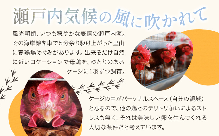 6ヶ月 定期便 卵 たまご 定期便 夢の卵 20個入り x 2セット L/LLサイズ《お申込み月翌月から出荷開始》株式会社めぐみ 岡山県 浅口市 送料無料 大容量 大箱 たっぷり Lサイズ LLサイズa-10