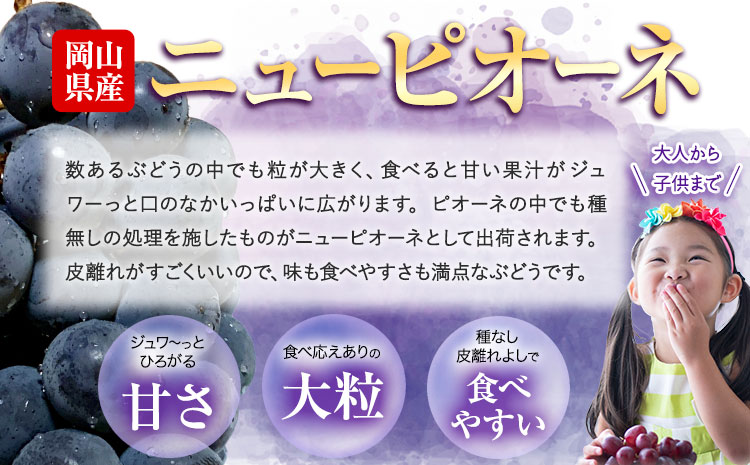 ぶどう ニューピオーネ 選べる 約 490g 1房  株式会社藍《9月中旬-10月下旬頃出荷》岡山県 浅口市 岡山県産 ぶどう フルーツ 果物 くだもの ピオーネ 送料無料 【配送不可地域あり】