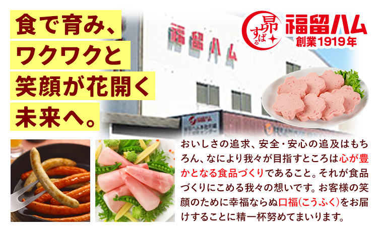 ウインナー あらびきお料理ウインナー645g 福留ハム株式会社《30日以内に出荷予定(土日祝除く)》岡山県 浅口市 ウインナー 大容量 送料無料