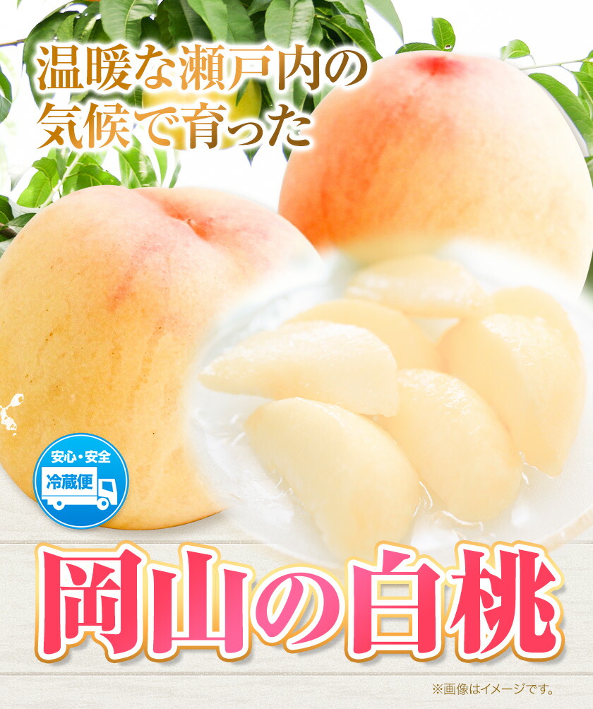 【2024年先行予約】白桃 岡山 8玉 ウィズフラワーホールディングス《7月上旬-9月上旬頃出荷》岡山県 浅口市 桃 もも フルーツ 旬 果物 国産 岡山県産 送料無料 冷蔵【配送不可地域あり】