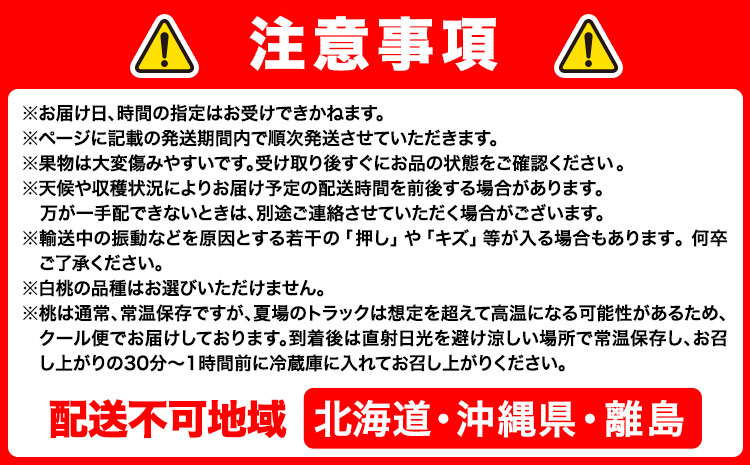 【2026年先行予約】定期便5回コース マスカット・オブ・アレキサンドリア 1房 岡山の白桃 6玉 ニューピオーネ 1房 瀬戸ジャイアンツ 1房 シャインマスカット 晴王 2房 あたご梨 2玉 株式会社山博(中本青果) 《2026年7月上旬-11月下旬頃出荷》岡山県 浅口市 【配送不可地域あり】（北海道・沖縄・離島）a-7