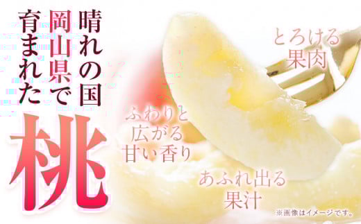 桃 おかやま白桃 もも 桃 1kg 3~5玉前後 岡山県産 ご家庭用《2026年6月下旬-9月下旬頃出荷》岡山県 浅口市 厳選出荷 白桃  白鳳 清水白桃 おかやま夢白桃 川中島白桃 白皇 果物 フルーツa-8