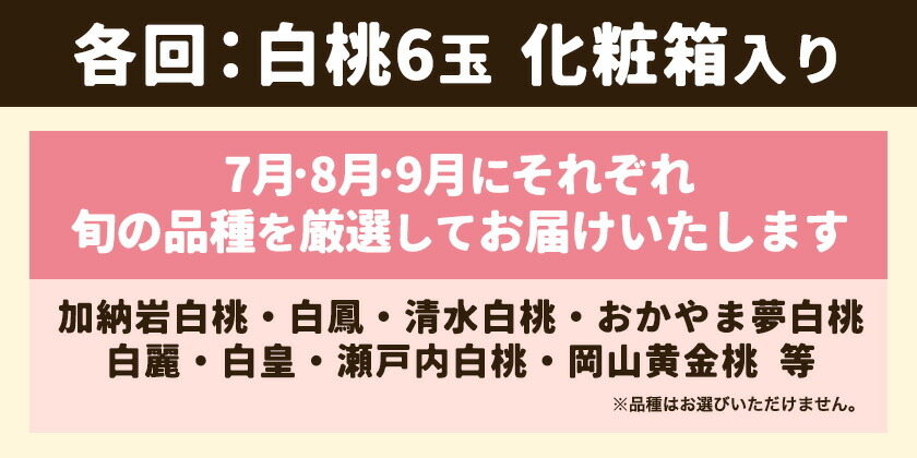 【2025年先行予約】岡山の桃食べ比べ定期便3回コース 株式会社山博 (中本青果)《2025年7月上旬から9月下旬頃出荷》岡山県 浅口市 桃 もも フルーツ 旬 果物 国産 岡山県産 送料無料 冷蔵 食べ比べ 定期便 定期 【配送不可地域あり】（北海道・沖縄・離島）