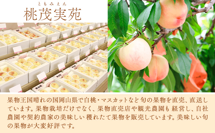 【先行予約】清水白桃  約2kg もも モモ 岡山 国産 フルーツ 果物 桃茂實苑《7月中旬-8月上旬頃出荷》岡山県 浅口市 フルーツ モモ 果物 青果 旬 白桃 国産 岡山県産【配送不可地域あり】
