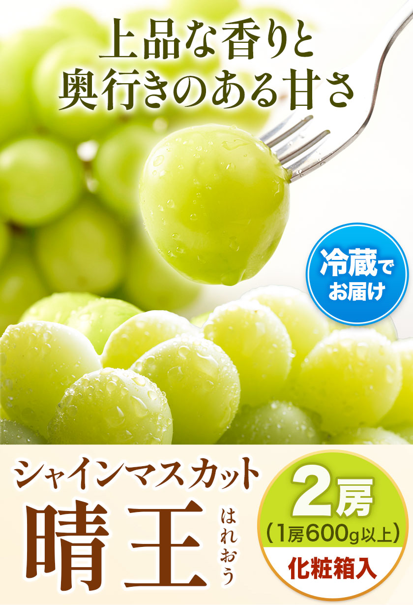 【2025年先行予約】【2ヶ月定期便】 シャインマスカット晴王 はれおう 2房入り(1房600g以上) 化粧箱入 株式会社山博(中本青果)《2025年8月・9月計2回出荷予定》 定期 計2回お届け 岡山県 浅口市 ぶどう マスカット 大粒 フルーツ 秀品 果物 ギフト 送料無料 【配送不可地域あり】（北海道・沖縄・離島）