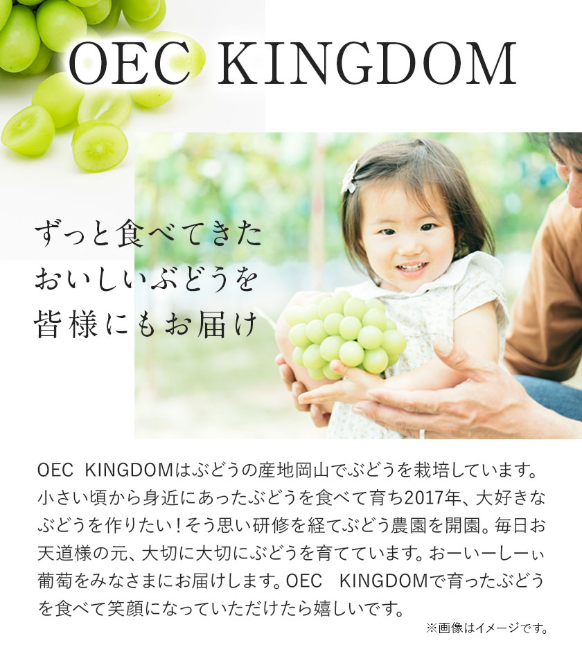 ご家庭用 シャイン マスカット 3〜5房 (合計2kg以上) OEC KINGDOMぶどう家 《8月下旬-10月中旬頃出荷》岡山県 浅口市 ぶどう 果物【配送不可地域あり】（離島）