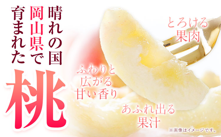 岡山 桃 もも 1.3kg 4~8玉前後 岡山 浅口
