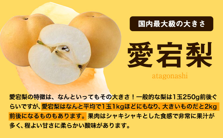 岡山県産 あたご梨 約4kg（3-6玉） 有限会社ホーティカルチャー神島《11月中旬-12月中旬頃出荷》岡山県 浅口市 なし 梨 果物 【配送不可地域あり】