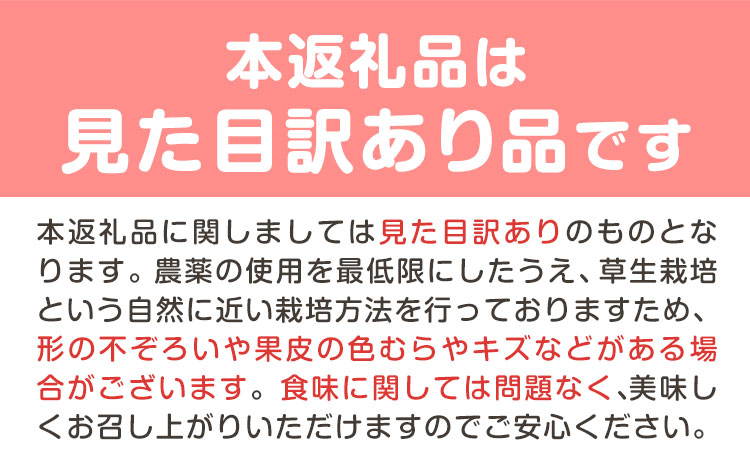 【2025年先行予約】ご家庭用 清水白桃 約1.5kg ( 6玉 前後 ) 《2025年7月上旬-8月中旬頃出荷》なんば農園 岡山県 浅口市 フルーツ モモ 果物 青果 旬 白桃 桃 訳アリ わけあり 訳あり【配送不可地域あり】