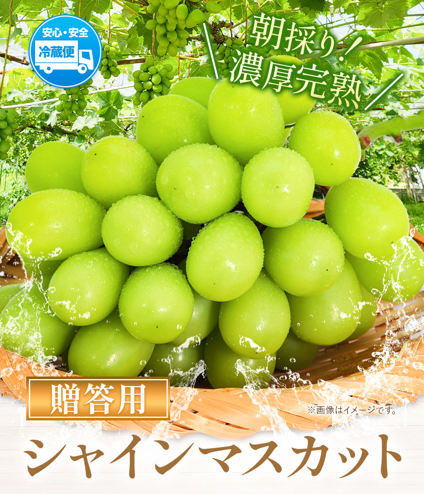 【2025年先行予約】贈答クラス シャイン マスカット 1房 (700g以上) 【配送不可地域あり】（離島） OEC KINGDOMぶどう家 《8月下旬-10月中旬頃出荷》岡山県 浅口市 ぶどう 果物