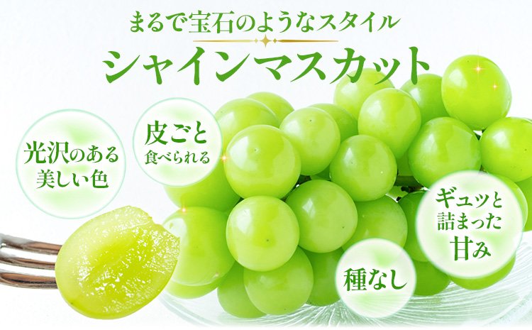 ãå
è¡äºçŽã岡山çç£ ã€ãä»ã ã·ã£ã€ã³ãã¹ã«ãã 1æ¿ (680g以äž) ç¡å æž©æ œå¹ æéäŒç€ŸããŒãã£ã«ã«ãã£ãŒç¥å³¶ã9æäžæ¬-10æäžæ¬é ã«åºè·äºå®ãå²¡å±±ç æµ
å£åž ãã¹ã«ãã ã¶ã©ã è¡è æç©ãé
éäžå¯å°åããã