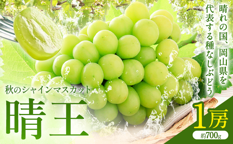 [2026年先行予約]秋のシャインマスカット 晴王 1房 環山堂株式会社[2026年9月上旬-10月上旬頃出荷]岡山県 浅口市 シャインマスカット マスカット ぶどう 果物 フルーツ 送料無料a-1