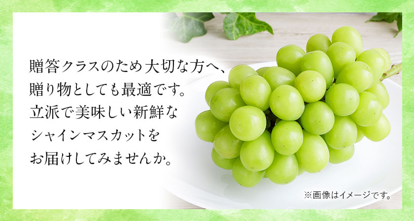 【2025年先行予約】贈答クラス シャイン マスカット 1房 (700g以上) 【配送不可地域あり】（離島） OEC KINGDOMぶどう家 《8月下旬-10月中旬頃出荷》岡山県 浅口市 ぶどう 果物