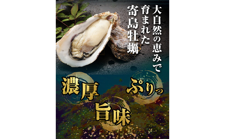 炊き込みご飯 寄島 漁港の釜飯 かきめし 210g×2個 6回 （製造地：岡山県浅口市）ハレノヒ良品(まからずやストアー)《90日以内に発送予定(土日祝除く)》岡山県 浅口市 タコ 釜めし セット【配送不可地域あり】冷凍 冷凍食品 惣菜 レトルト ひとり暮らし