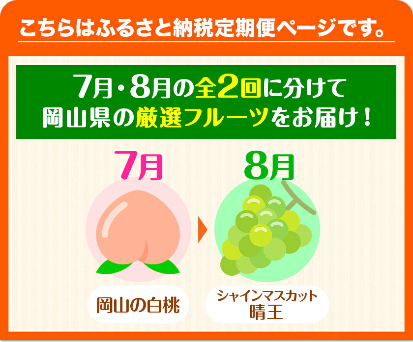 【2025年先行予約】岡山の厳選フルーツ定期便2回コース 岡山のフルーツ 岡山の白桃6玉 (計1.6kg以上) シャインマスカット 晴王 2房 (1房600g以上)化粧箱入り 株式会社山博(中本青果) 《2025年7月上旬-8月下旬頃出荷》 岡山県 浅口市 送料無料  【配送不可地域あり】（北海道・沖縄・離島）