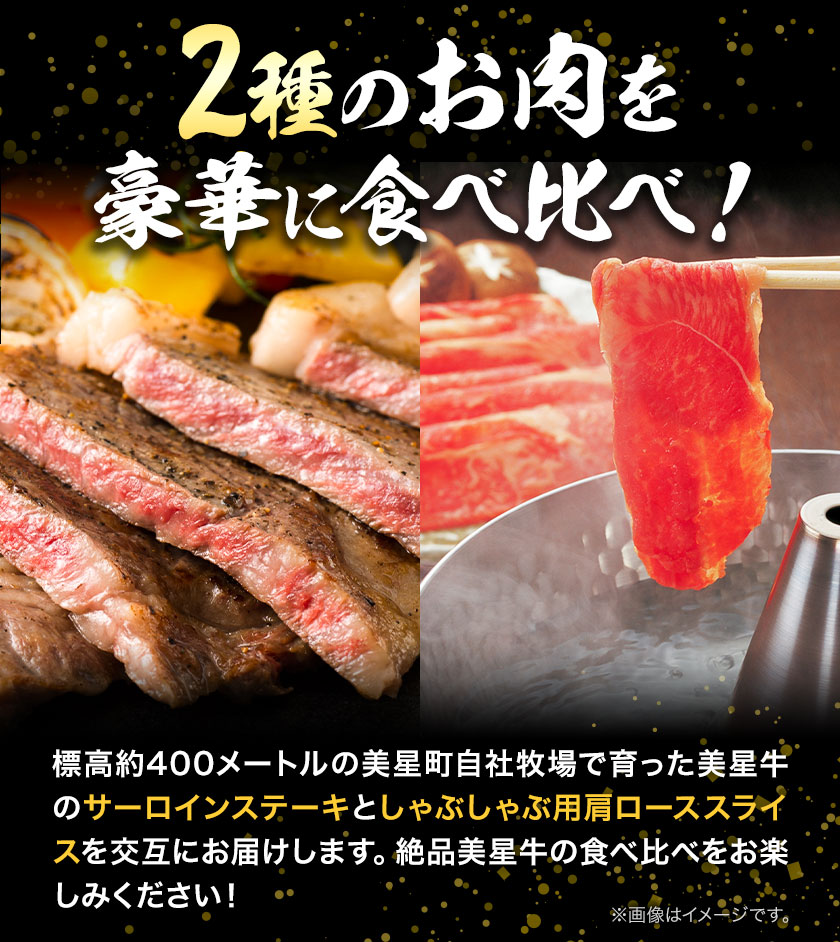 【12ヶ月定期便】美星牛 お肉の定期便 サーロインステーキ 肩ローススライス しゃぶしゃぶ用 ハレノヒ良品《90日以内に出荷予定(土日祝除く)》 岡山県 浅口市 肉 和牛 国産 牛肉 サーロイン 牛ロース しゃぶしゃぶ