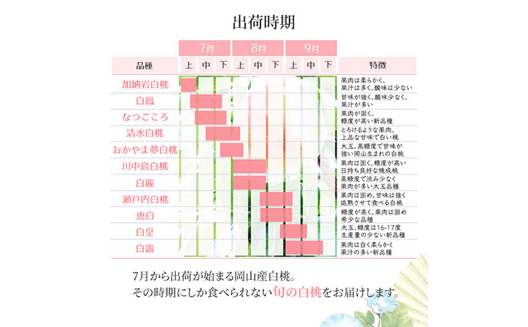 【先行予約】岡山白桃ロイヤル 約2kg 5~7玉 橋田商店有限会社《7月上旬-8月中旬頃出荷》 岡山県 浅口市 岡山県産 もも フルーツ 果物 くだもの 白桃 送料無料