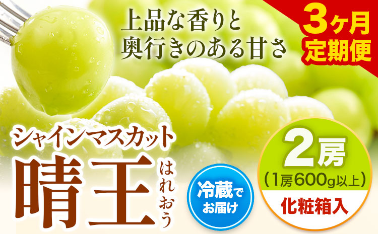 【2025年先行予約】【3ヶ月定期便】 シャインマスカット晴王 はれおう 2房入り(1房600g以上) 化粧箱入 株式会社山博(中本青果)《2025年8月・9月・10月計3回出荷予定》 定期 計3回お届け 岡山県 浅口市 ぶどう マスカット 大粒 フルーツ 秀品 果物 ギフト 送料無料 【配送不可地域あり】（北海道・沖縄・離島）