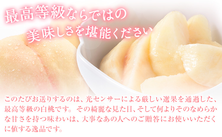 【2026年先行予約】岡山の白桃 等級 ロイヤル 約1.5kg(5〜6玉) 清水白桃 おかやま夢白桃 白鳳 白麗 なつおとめ 晴れの国 岡山農業協同組合 鴨方支店 《7月上旬-7月末頃出荷》岡山県 浅口市 岡山県産 白桃 桃 もも 果物 フルーツ ギフト ご贈答 送料無料【配送不可地域あり】（北海道・沖縄・離島）st-p a-1