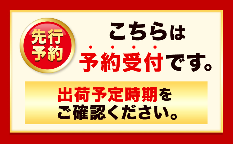 ぶどう [2026年先行予約] シャインマスカット 晴王 2房 1.3kg 岡山県産《2026年9月上旬-10月末頃出荷(土日祝除く)》 ハレノフルーツ マスカット 送料無料 岡山県 浅口市 フルーツ 果物 贈り物 ギフト 国産 岡山県産 くだもの 青果物 【配送不可地域あり】（北海道・沖縄・離島）