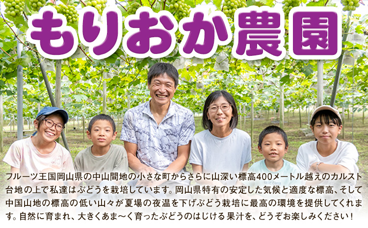 【2026年先行予約】ぶどう ピオーネ 約2kg (3房～5房) もりおか農園《2026年9月上旬-10月上旬頃出荷》岡山県 浅口市 送料無料 ぶどう フルーツ 果物 くだもの デザート おやつ【配送不可地域あり】