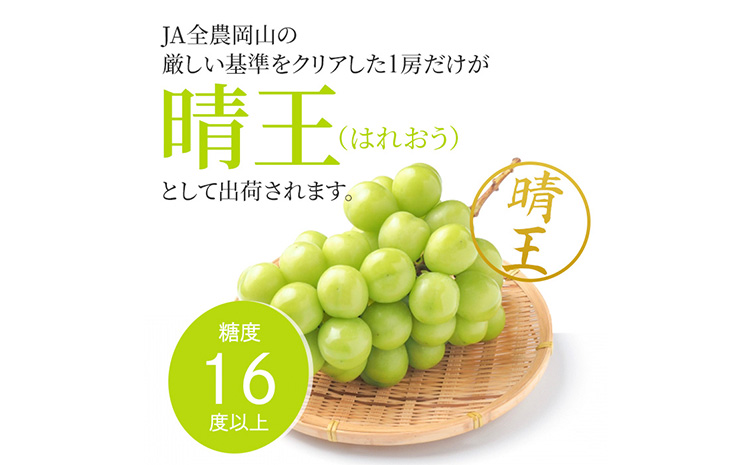 ぶどう シャインマスカット晴王 約700g 特選 1房程度 橋田商店有限会社《9月中旬-11月中旬頃出荷》 岡山県 浅口市 岡山県産 ぶどう フルーツ 果物 くだもの マスカット 送料無料【配送不可地域あり】（北海道・沖縄・離島）st-p