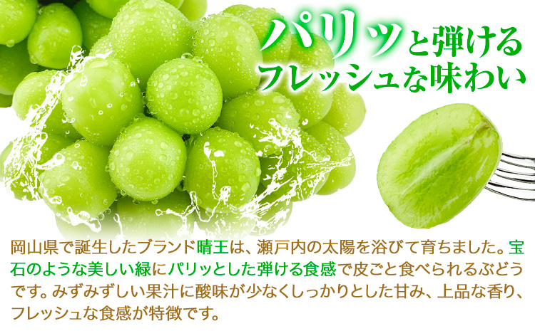 縲2026蟷エ逋コ騾∝郁。御コ育エ縲代す繝」繧、繝ウ繝槭せ繧ォ繝繝 譎エ邇 2繝カ譛 螳壽悄萓ソ 1.3kg(2謌ソ)テ2蝗槭♀螻翫¢ 譛鬮倡エ壼刀 繧キ繝」繧、繝ウ 繝槭せ繧ォ繝繝医2026蟷エ9譛井クュ譌ャ-10譛井クュ譌ャ鬆蜃コ闕キ莠亥ョ壹 譎エ繝ャ荵髱呈棡(蟯。螻ア荳ュ螟ョ蜊ク螢イ蟶ょエ蠎(蟇悟」ォ邏吝キ・譛蛾剞莨夂、セ)) 騾∵侭辟。譁 蟯。螻ア逵 譫懃黄 縲宣埼∽ク榊庄蝨ー蝓溘≠繧翫
