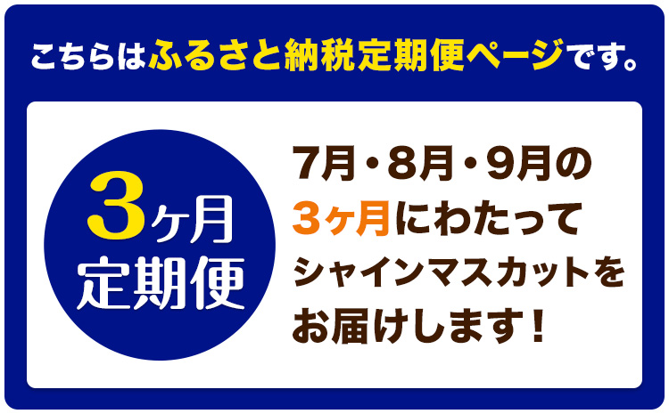 【3ヶ月定期便】ぶどう シャインマスカット 晴王 1.4kg 2房 ハレノフルーツ(アストライ)《7月上旬-9月末頃出荷》岡山県 浅口市 送料無料 フルーツ 果物 マスカット お取り寄せフルーツ【配送不可地域あり】（北海道・沖縄・離島）