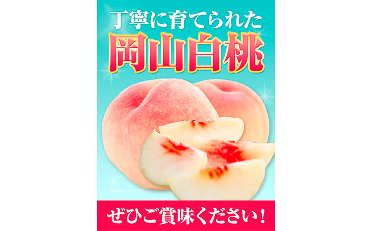 【令和7年度先行予約】贈答用 桃 内容量 2.4kg ハレノフルーツ （犬塚農園） 《2025年6月末-8月中旬頃出荷》岡山県 浅口市 フルーツ モモ 果物 青果 旬 おかやま夢白桃 白麗 白鳳 清水白桃 なつごころ 加納岩白桃【配送不可地域あり】