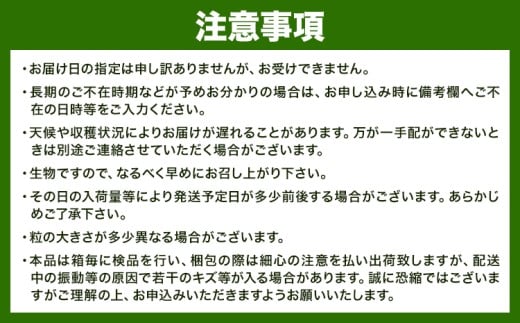 【先行予約】 岡山県産 シャインマスカット「晴王」とニューピオーネ 計 1.2kg 株式会社はちや《6月下旬～7月下旬頃頃出荷》岡山県 浅口市 ぶどう 葡萄 フルーツ ギフト 果物 デザート 国産【配送不可地域あり】