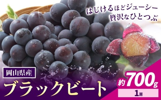【先行予約】岡山県産 ぶどう ブラックビート 700g 1房 株式会社 はちや《8月上旬-9月上旬頃出荷》岡山 国産 葡萄 フルーツ 果物 岡山県 浅口市 フルーツ 果物【配送不可地域あり】