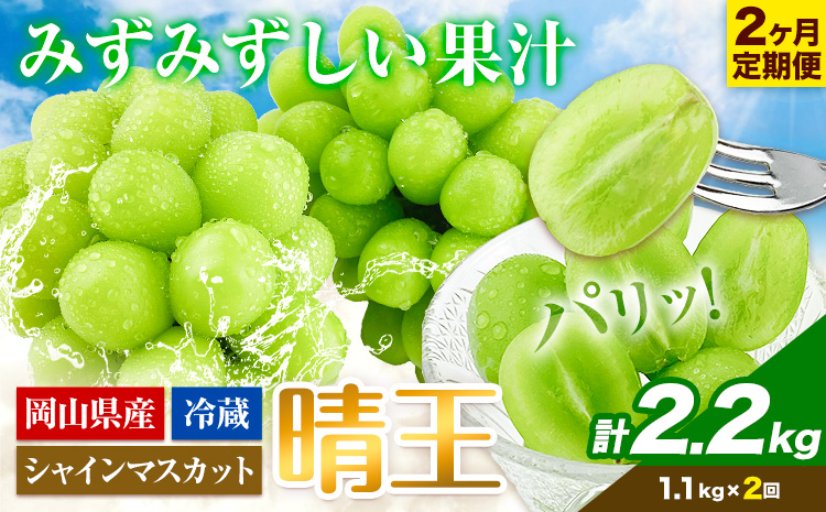 ぶどう 2ヶ月 定期便 [2026年先行予約] シャインマスカット 晴王 約1.1kg 岡山県産《9月上旬-10月末頃出荷(土日祝除く)》 ハレノフルーツ マスカット 送料無料 岡山県 浅口市 フルーツ 果物 贈り物 ギフト 国産 岡山県産 くだもの【配送不可地域あり】（北海道・沖縄・離島）