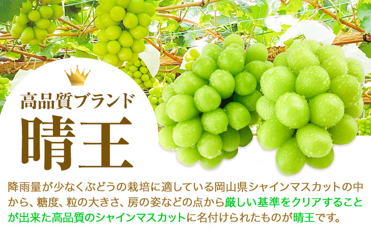 【2025年先行予約受付】ぶどう シャインマスカット 晴王 1.4kg（2房） 岡山県産《7月上旬-9月中旬頃出荷》 ハレノフルーツ マスカット 送料無料 岡山県 浅口市 フルーツ 果物 国産 岡山県産 くだもの 青果物【配送不可地域あり】（北海道・沖縄・離島）