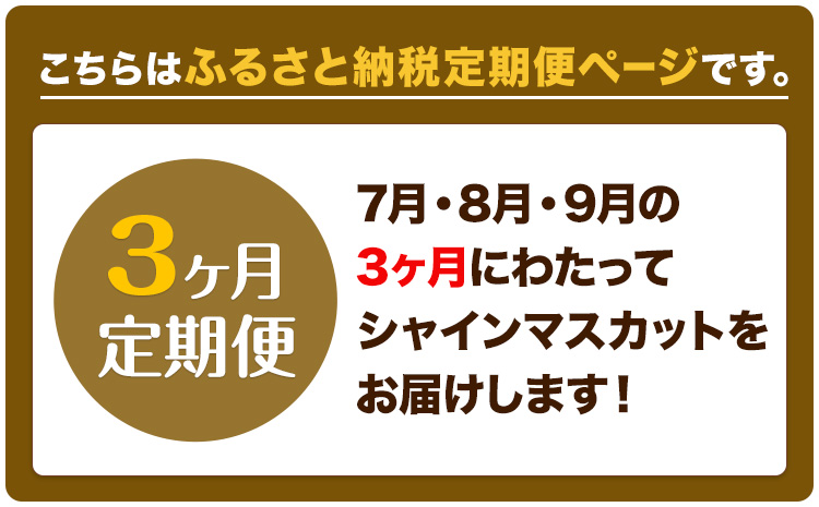 【2025年先行予約】ぶどう 3ヶ月 定期便 シャインマスカット 晴王 600g 岡山県産《7月上旬-9月末頃出荷》 ハレノフルーツ マスカット 送料無料 岡山県 浅口市 フルーツ 果物 国産 岡山県産【配送不可地域あり】（北海道・沖縄・離島）