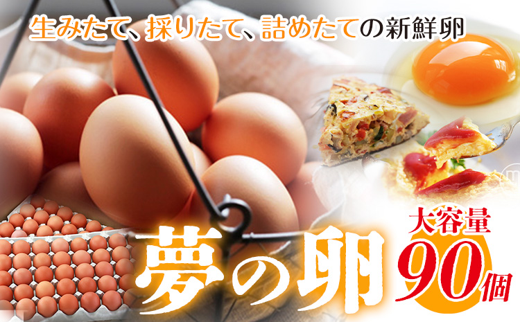 卵 たまご 赤玉 夢の卵 90個《90日以内に出荷予定(土日祝除く)》株式会社めぐみ 岡山県 浅口市 送料無料 大容量 大箱 たっぷり