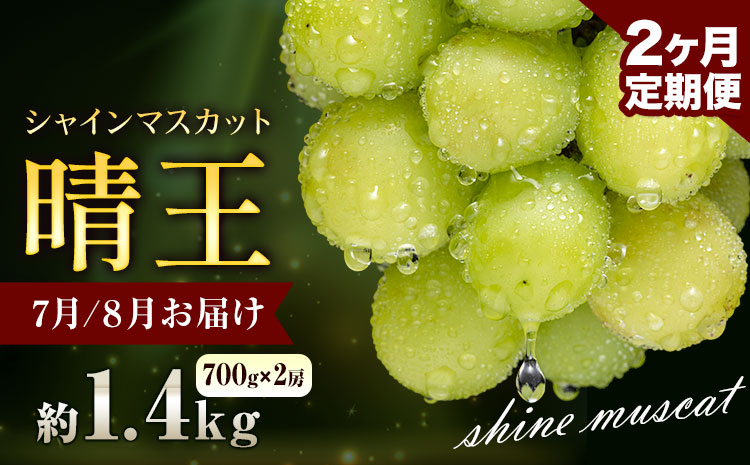 【定期】ぶどう シャインマスカット 晴王 1.4kg 2房 2ヶ月定期便 彩美菜果《7月上旬-8月末頃出荷》 マスカット 送料無料 岡山県 浅口市 フルーツ 果物 贈り物 国産 岡山県産 くだもの 果物 7月 8月発送 【配送不可地域あり】（北海道・沖縄・離島）