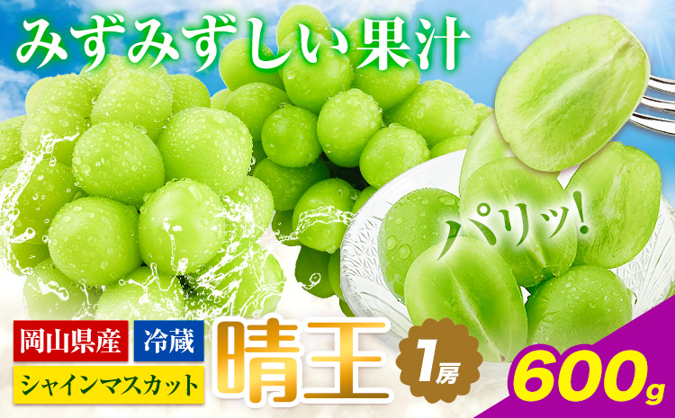 ぶどう [2026年先行予約] シャインマスカット 晴王 1房 600g 岡山県産《2026年9月上旬-10月末頃出荷(土日祝除く)》 ハレノフルーツ マスカット 送料無料 岡山県 浅口市 フルーツ 果物 贈り物 ギフト 国産 岡山県産 くだもの 青果物 【配送不可地域あり】（北海道・沖縄・離島）a-1